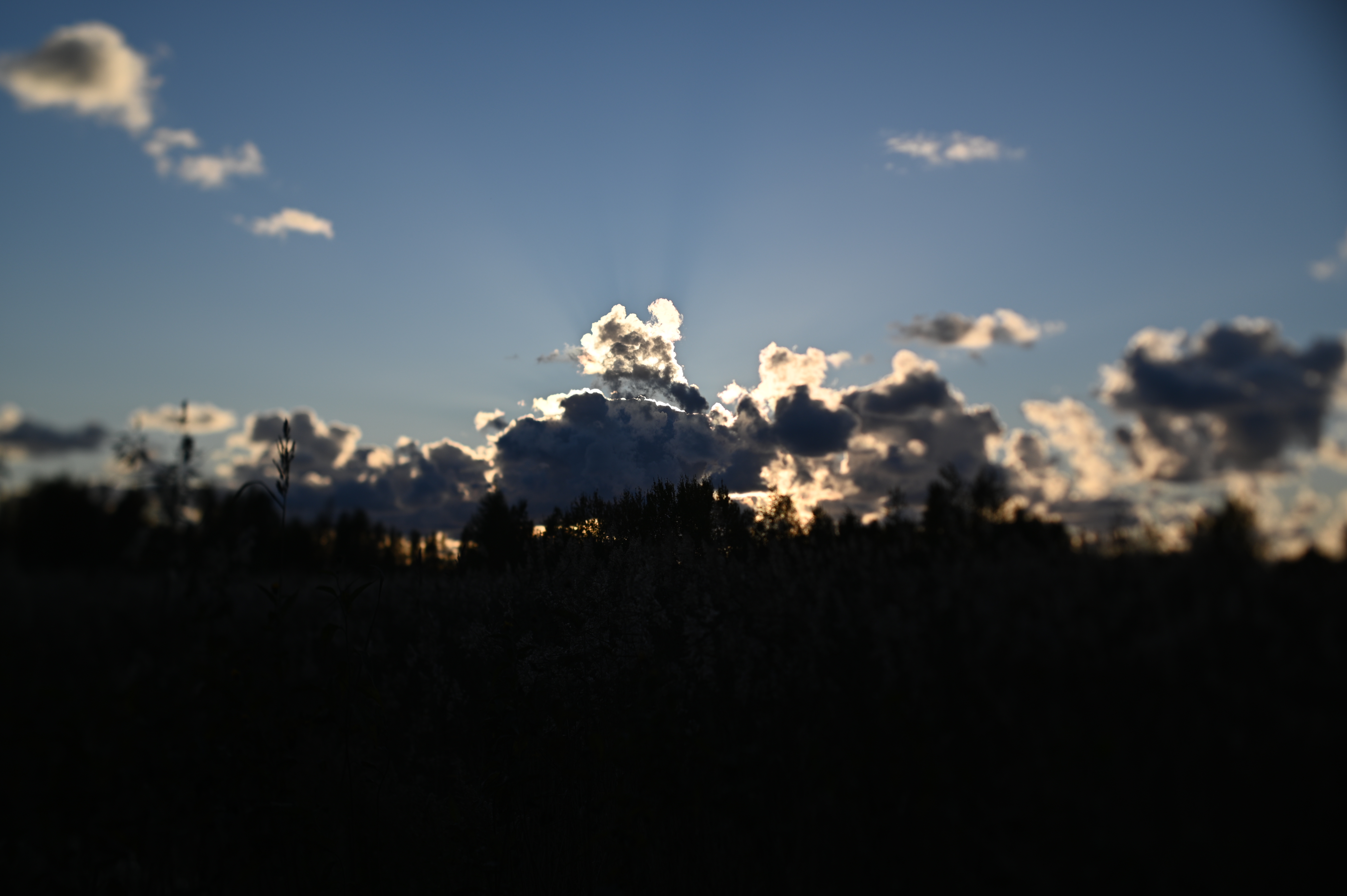 2025/10/18 - walk/DSC_0201.JPG